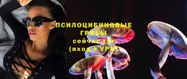 дурь Арсеньев