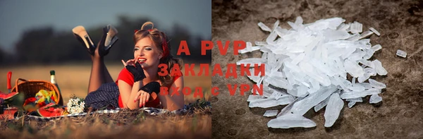 дживик Аркадак