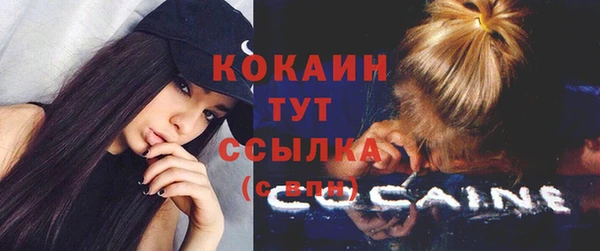 дживик Аркадак