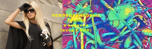 дурь Арсеньев