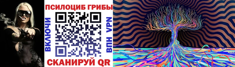 Купить где  Мончегорск  Псилоцибиновые грибы Magic Shrooms 
